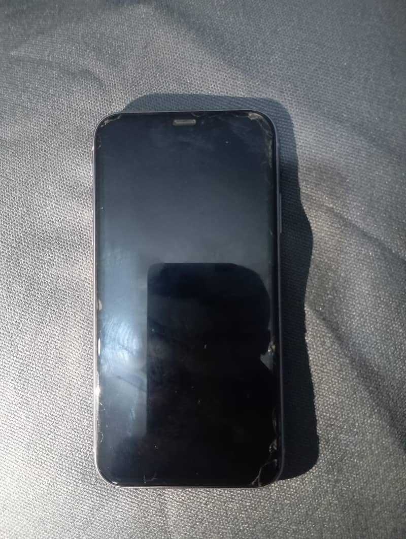 Apple iPhone 11 1
