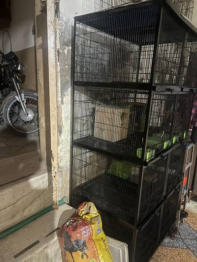 Parrot cottage for sale 10/9 condition with all accessories.