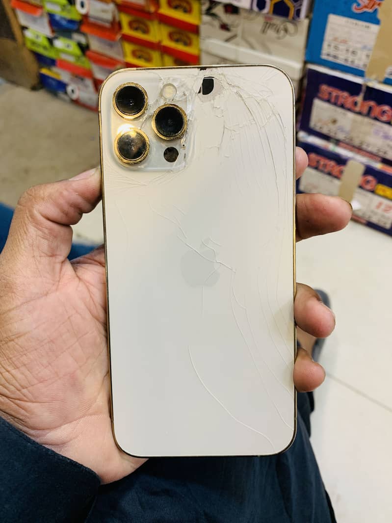 Apple iPhone 12 Pro Max 1