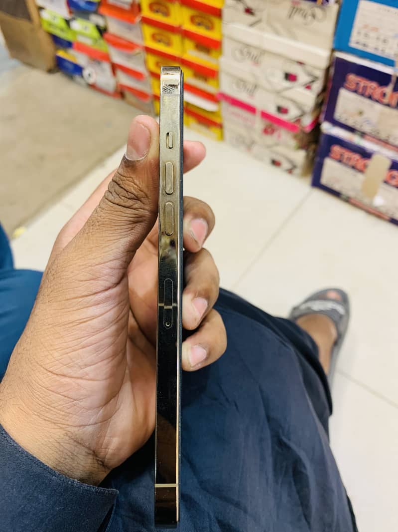 Apple iPhone 12 Pro Max 2