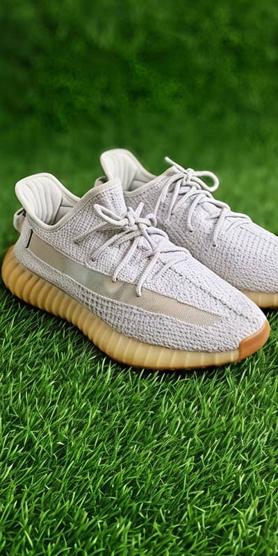 Adidas Yeezy boost 350 v2