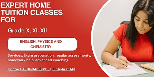 Expert Home Tuition