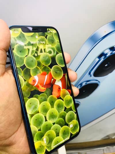 Apple iPhone 12