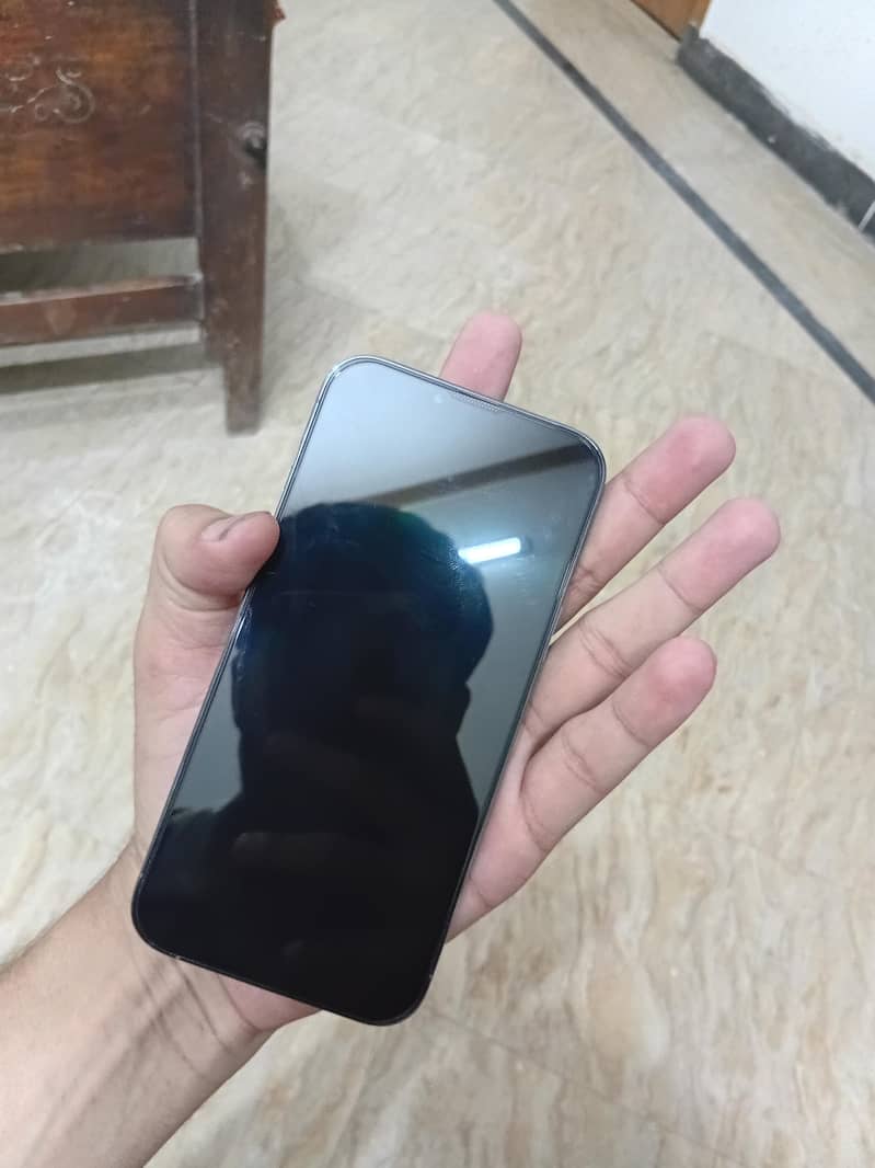 Apple iPhone 13 Pro Max 1
