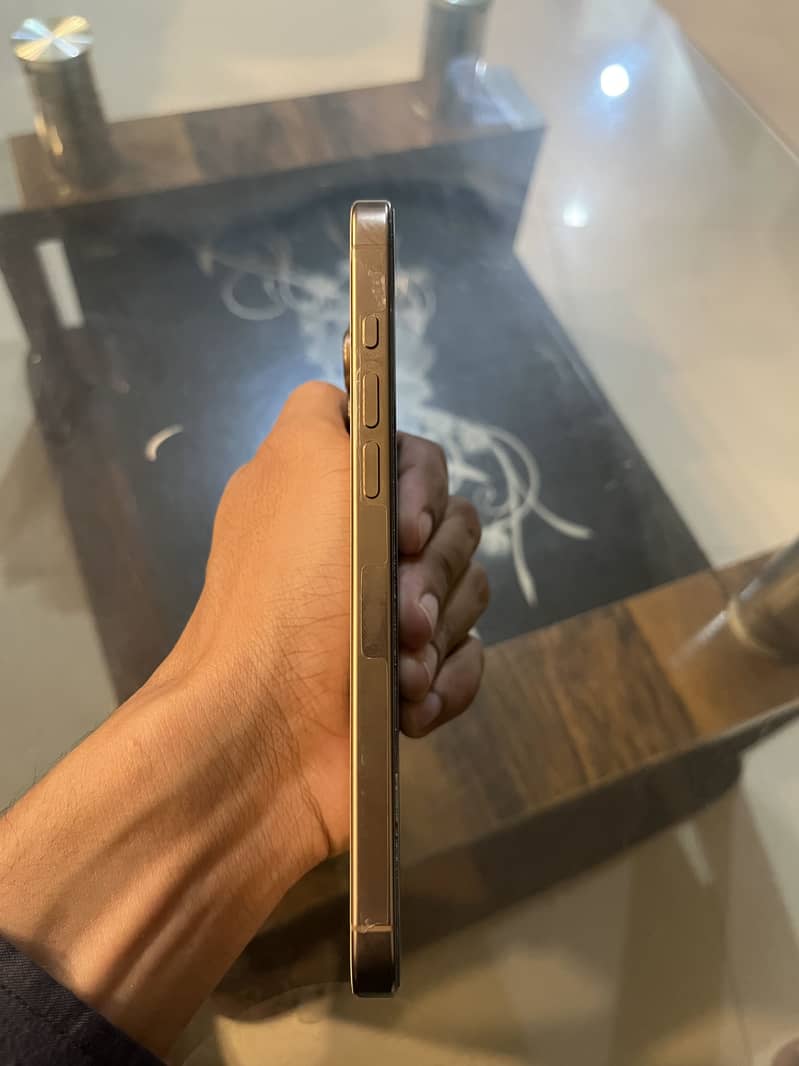 iPhone 16 Pro Max 2