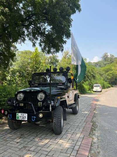 Jeep Cj 5 1974
