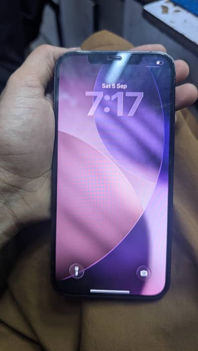 12 pro max Factory unlock 256 Gb