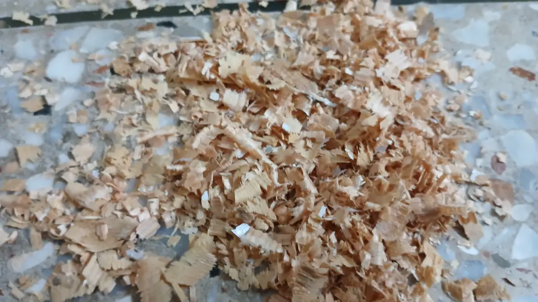 Birds Nesting Wood Shavings — photo 3