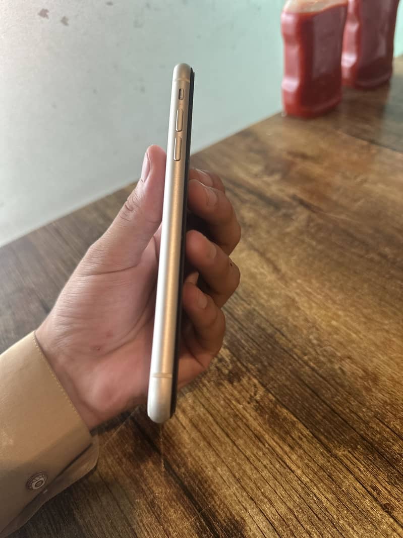 Apple iPhone 11 0