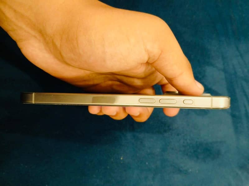 Apple iPhone 15 Pro Max 1