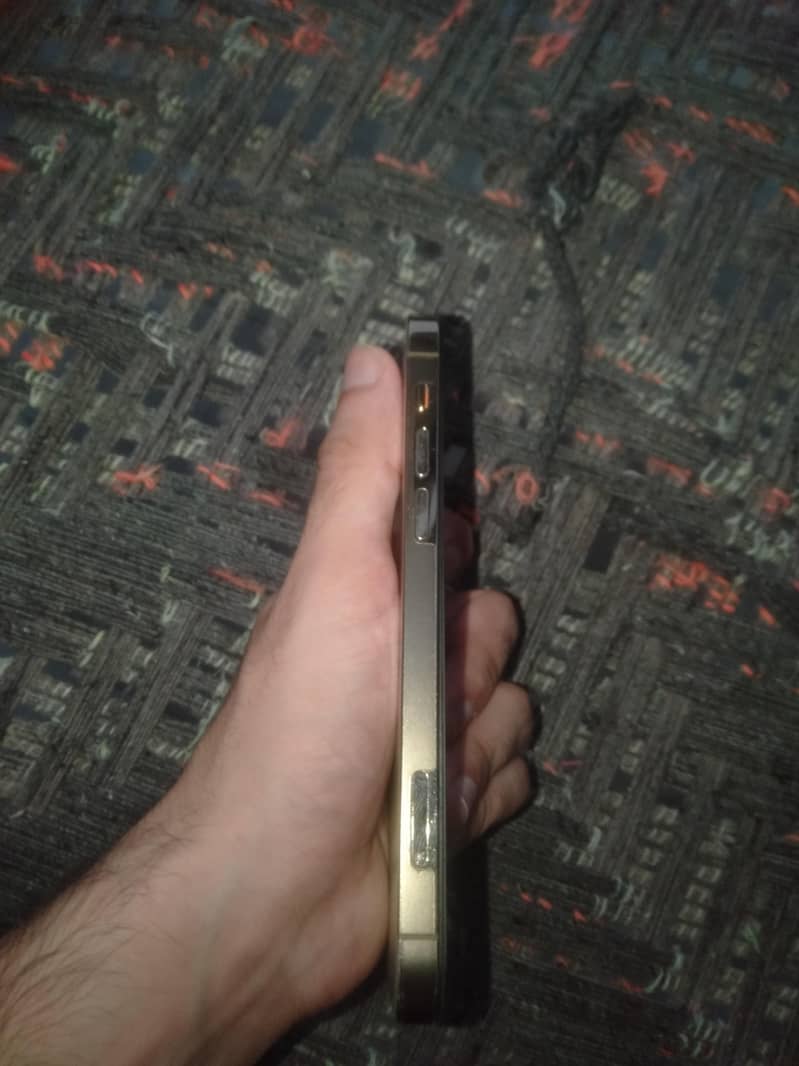 iPhone 12 Pro (FU) 2