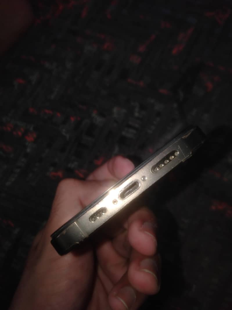 iPhone 12 Pro (FU) 4