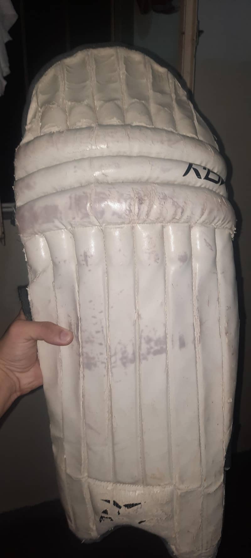 cricket kit 6