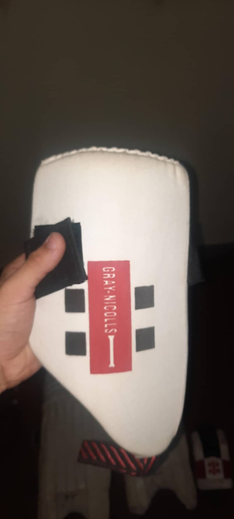 cricket kit 10