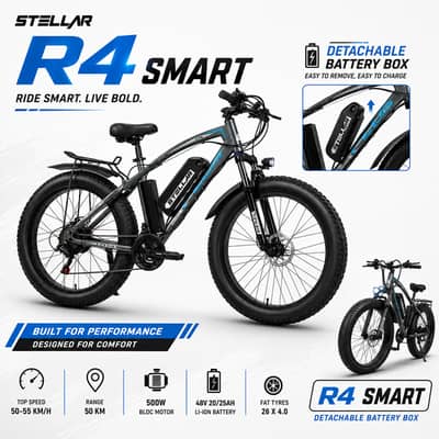 R4 Smart | detachable box |Speen 50km/hr | Range 55km | paddle assit