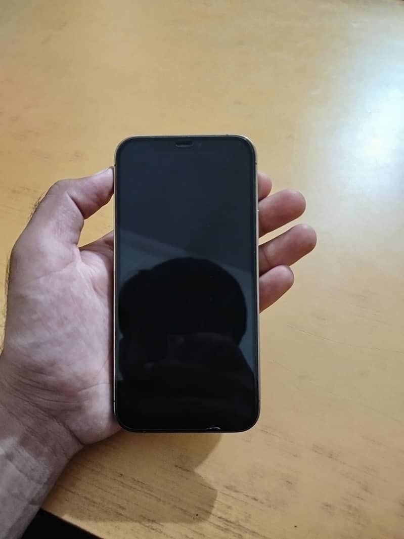 Apple iPhone 12 Pro 1