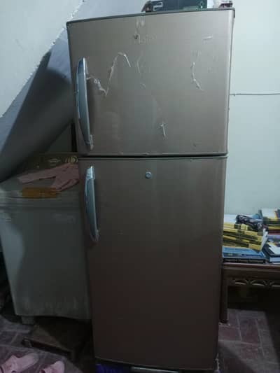 fridge