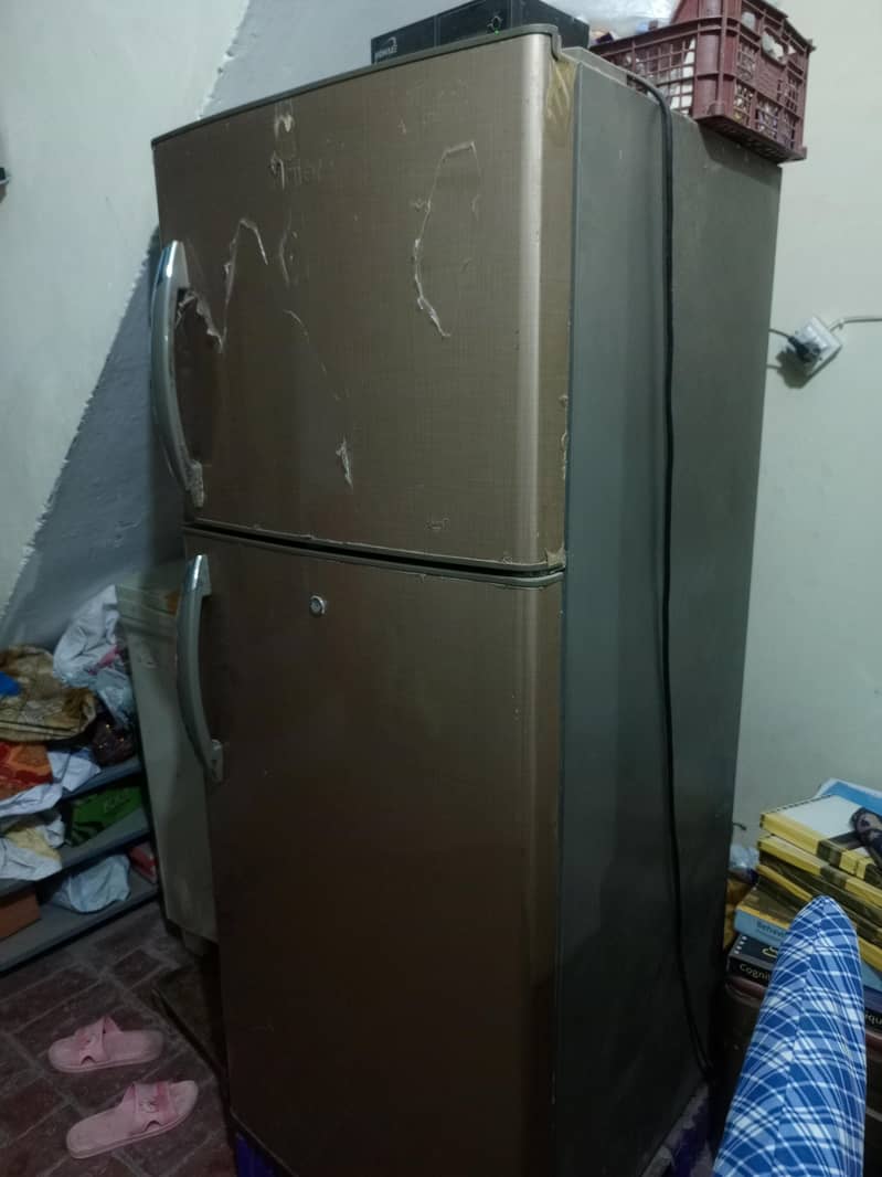 fridge 8