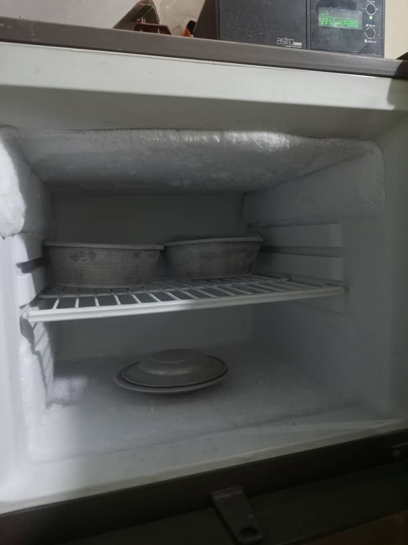 fridge 9