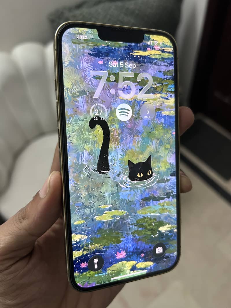 Apple iPhone 13 Pro 4