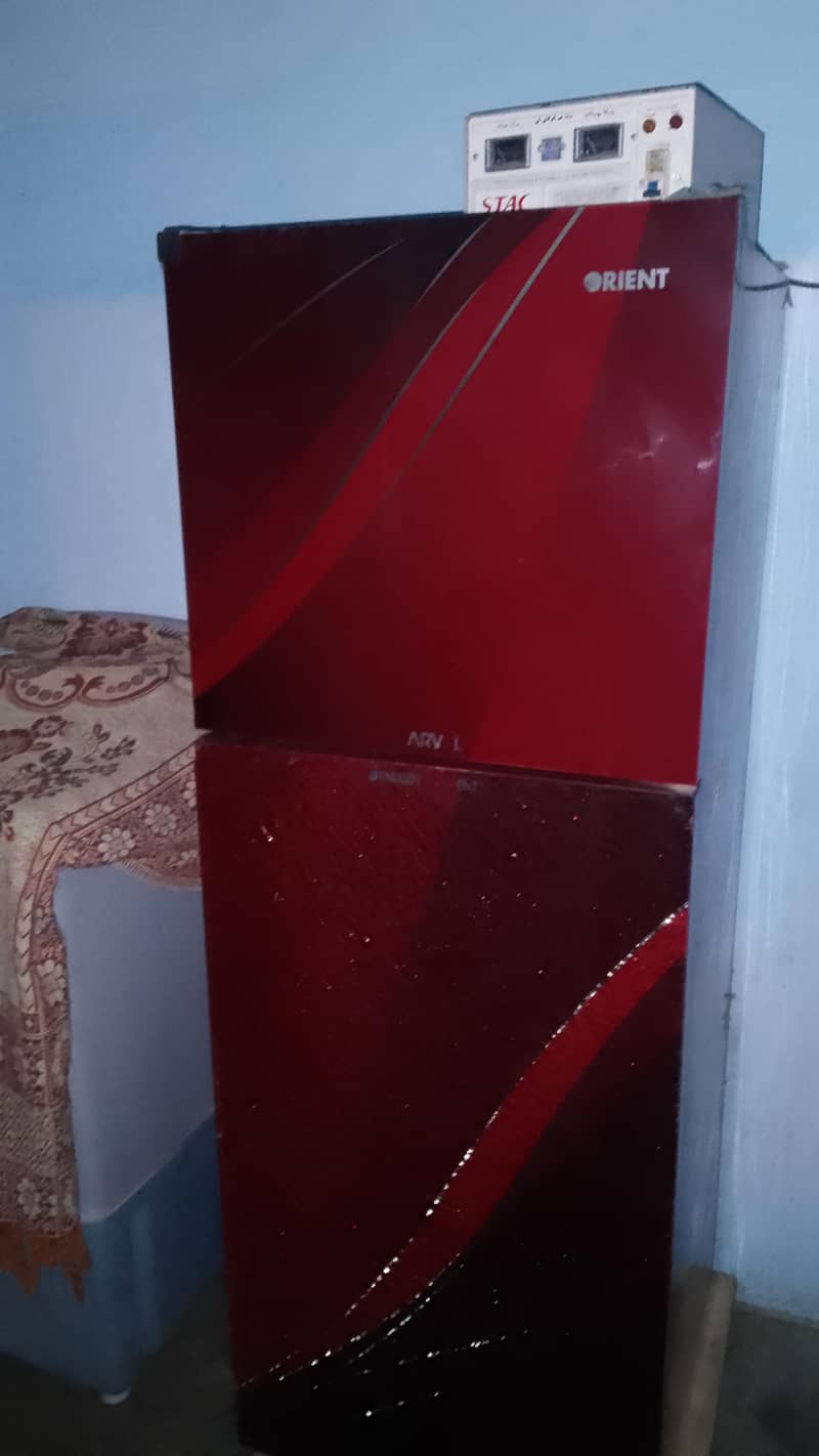 frige 2