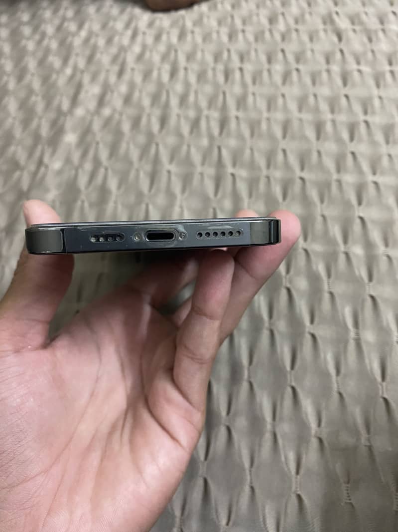 Apple iPhone 13 Pro Max 1
