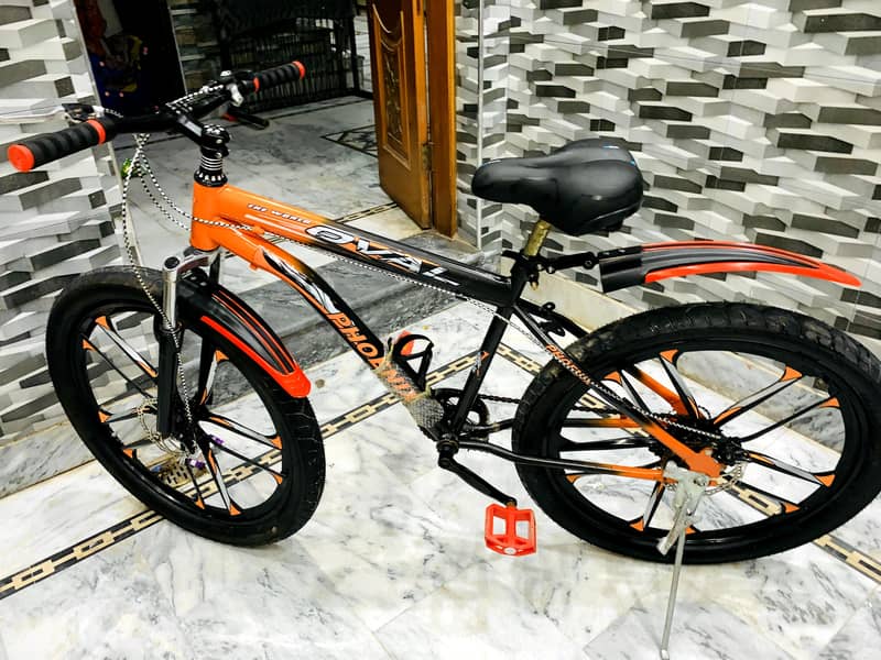phoenix bicycle 0