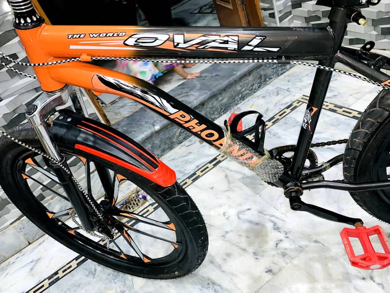 phoenix bicycle 1