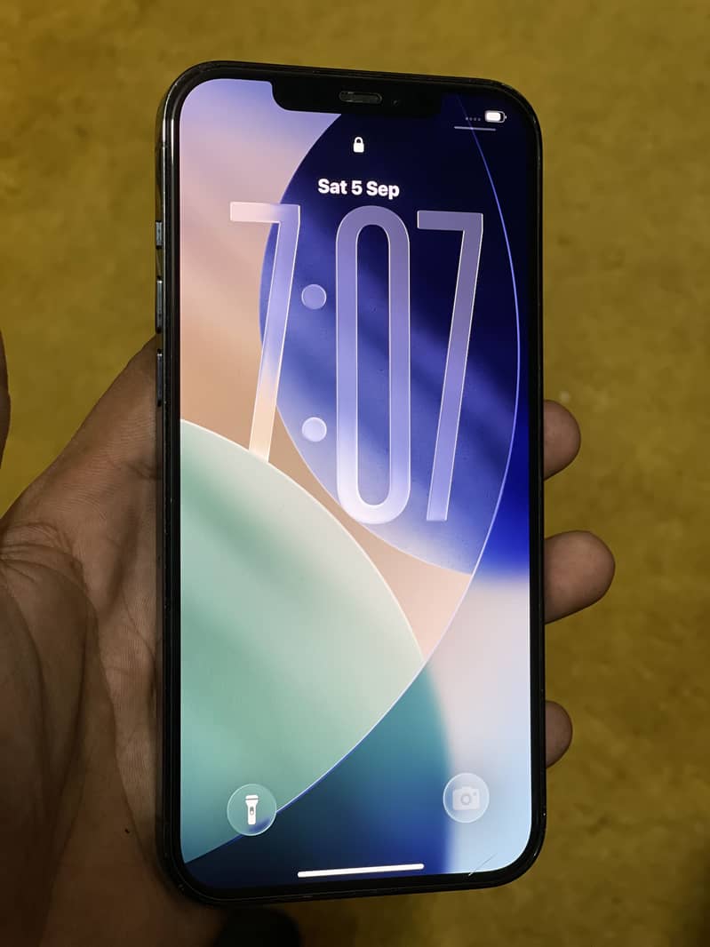 Apple iPhone 12 Pro Max 1