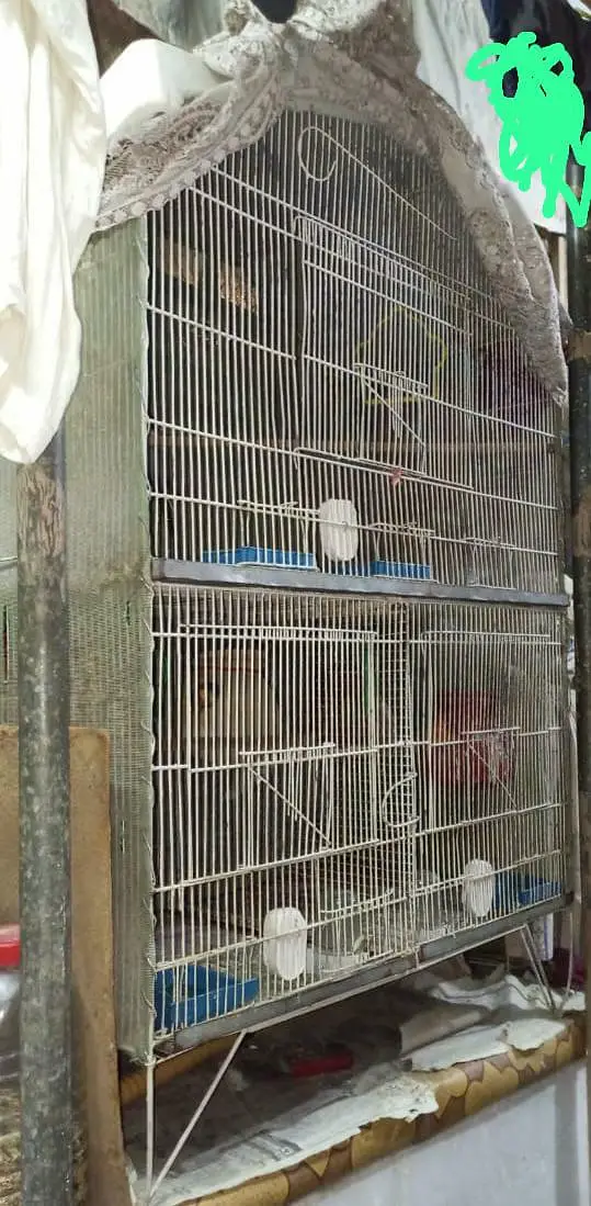 Birds cage 3 protein for sale — photo 3