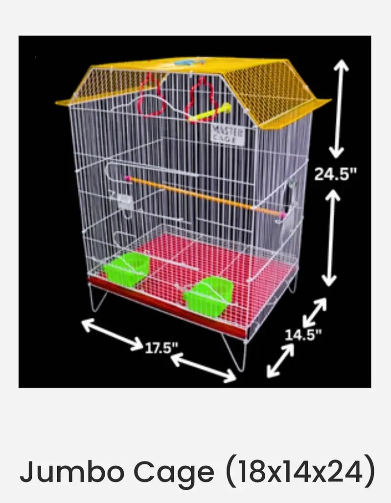 Jumbo size cage for sale with 1 budgies pair free — photo 7
