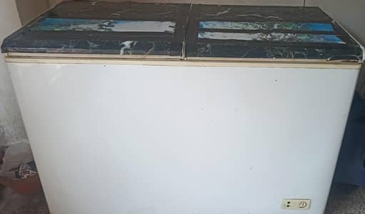 Pel Deep Freezer