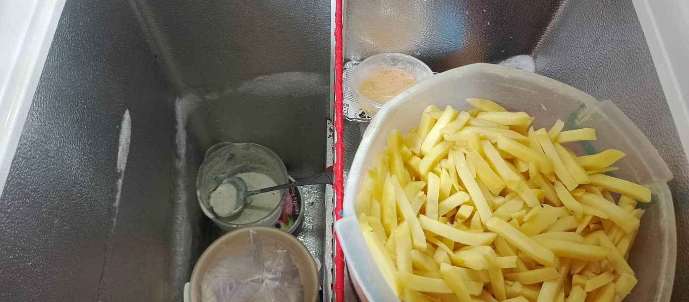 Pel Deep Freezer 1