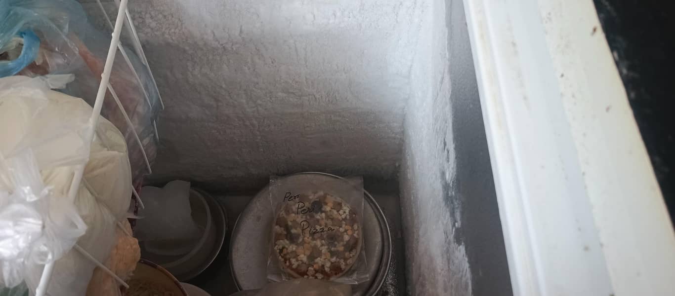 Pel Deep Freezer 2