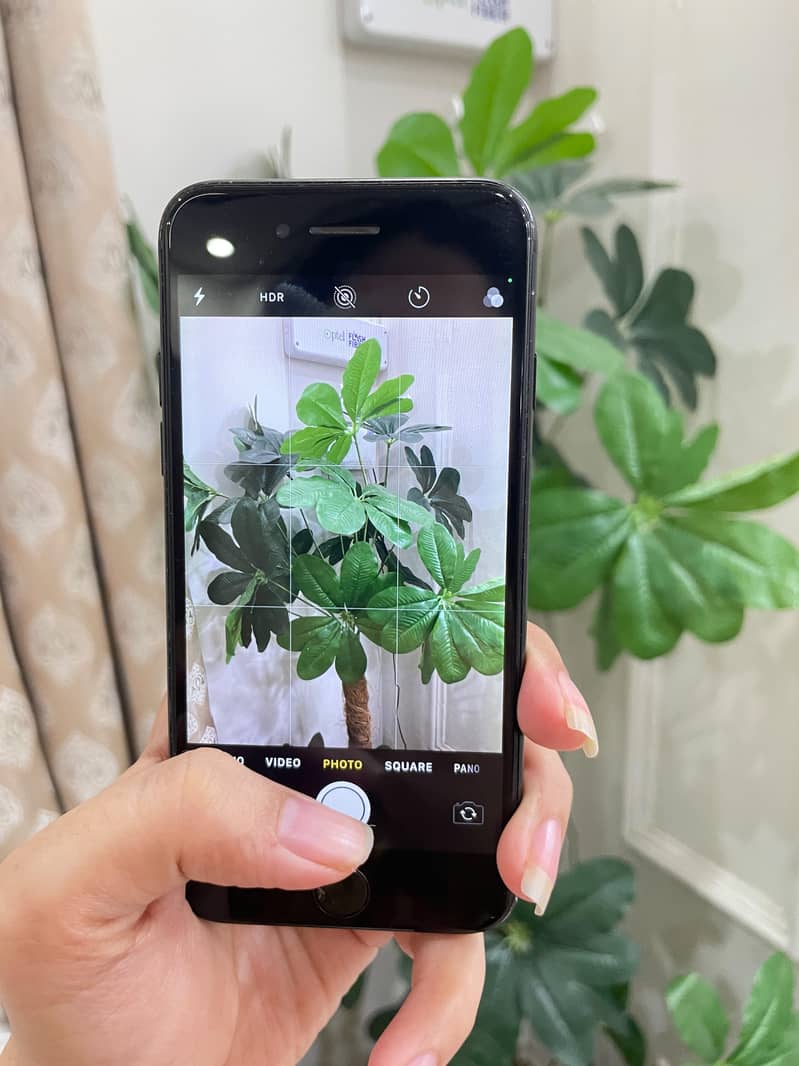 Apple iPhone 7 0
