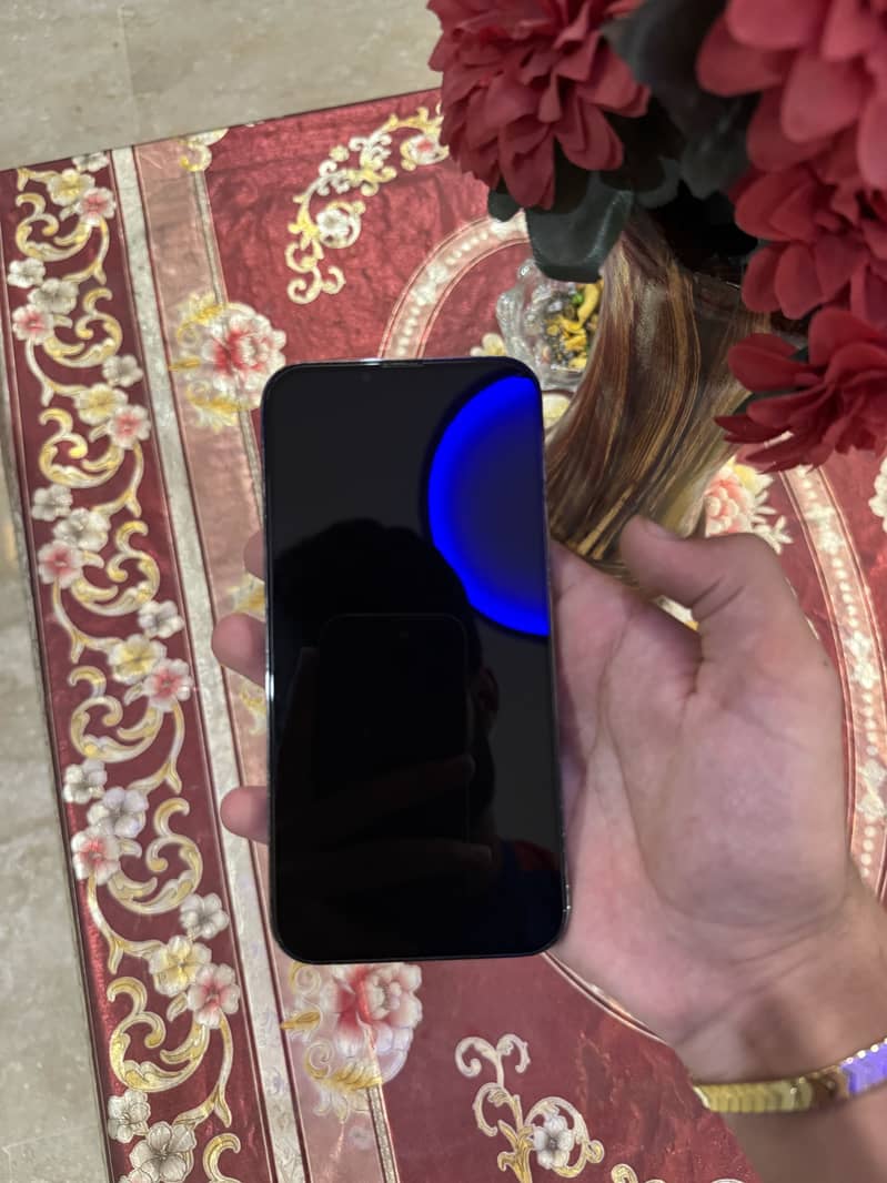 Apple iPhone 13 Pro Max 2