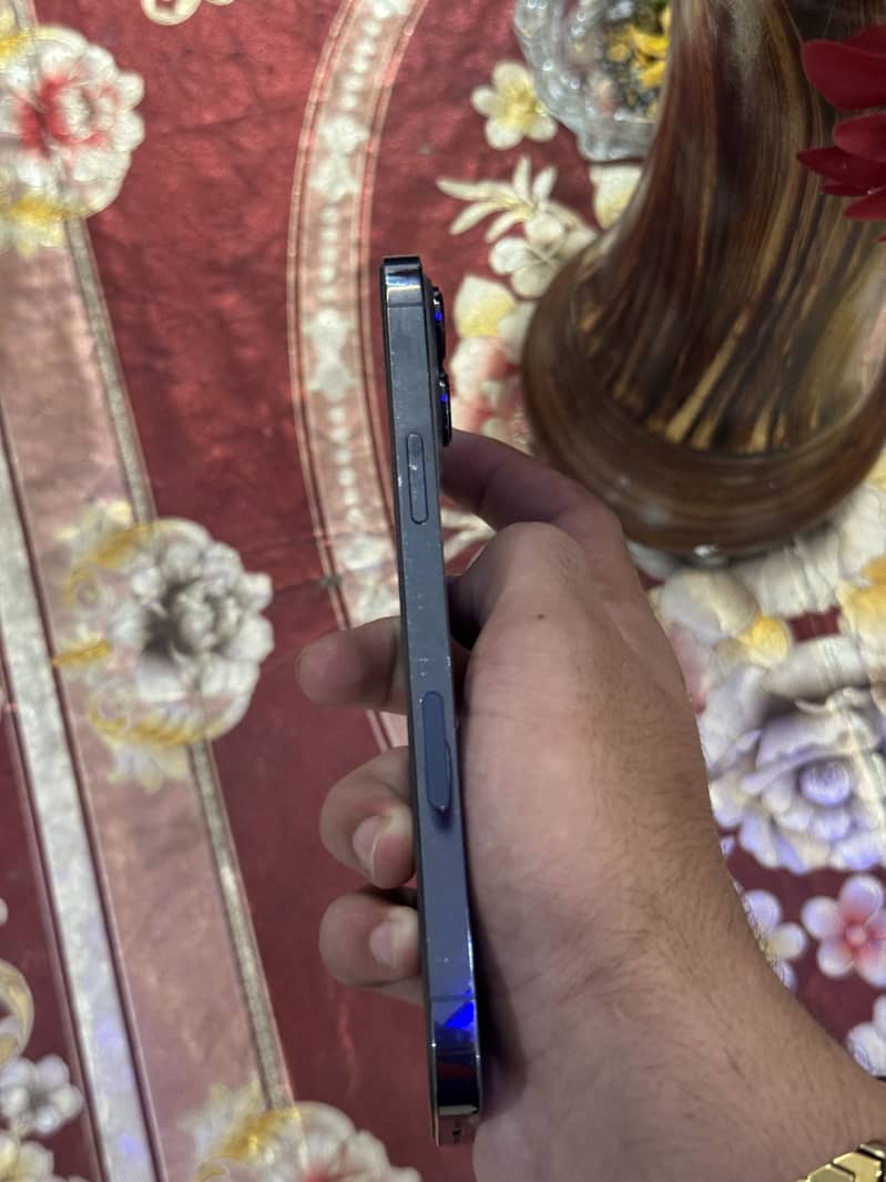 Apple iPhone 13 Pro Max 6