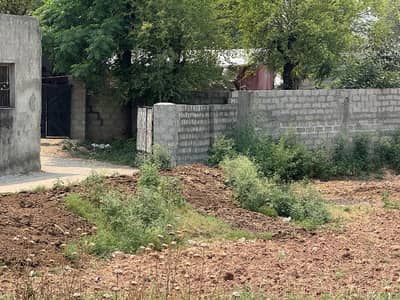 Ideal Space For Commercial Use