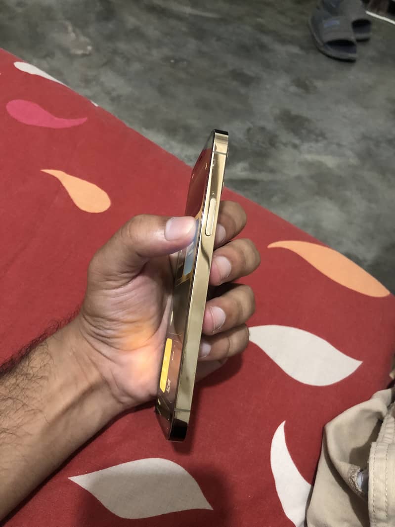 Apple iPhone 12 Pro 2