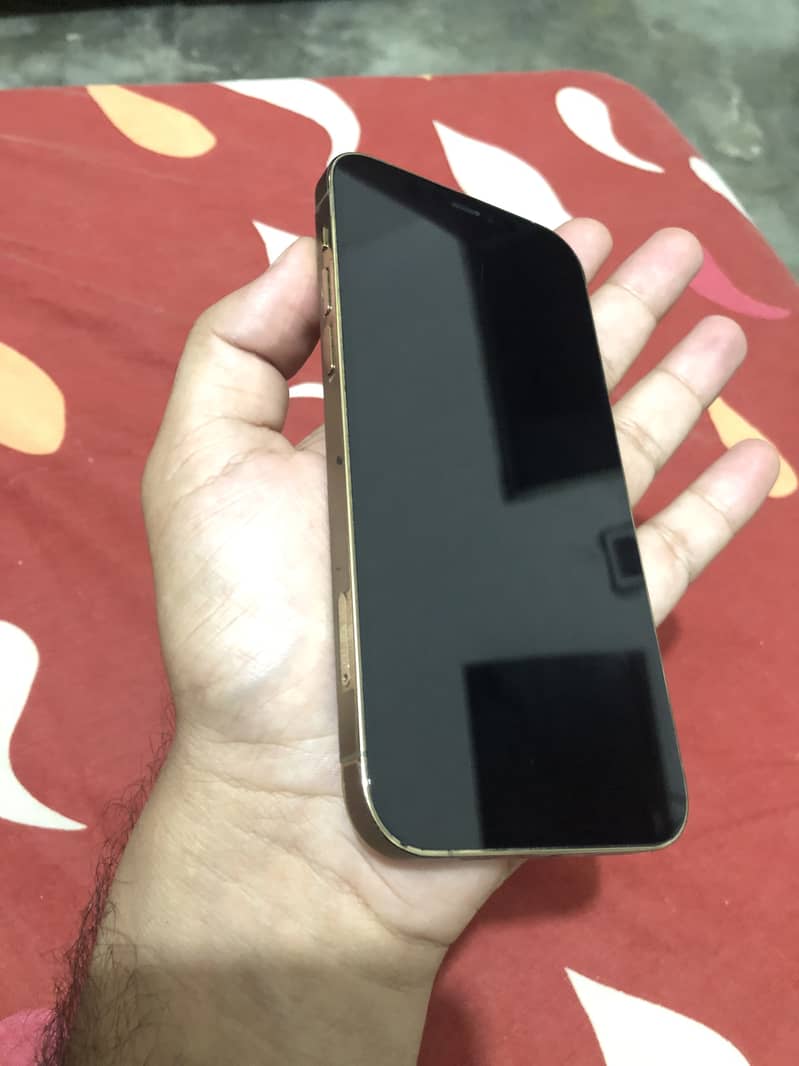 Apple iPhone 12 Pro 4