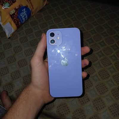 Apple iPhone 12