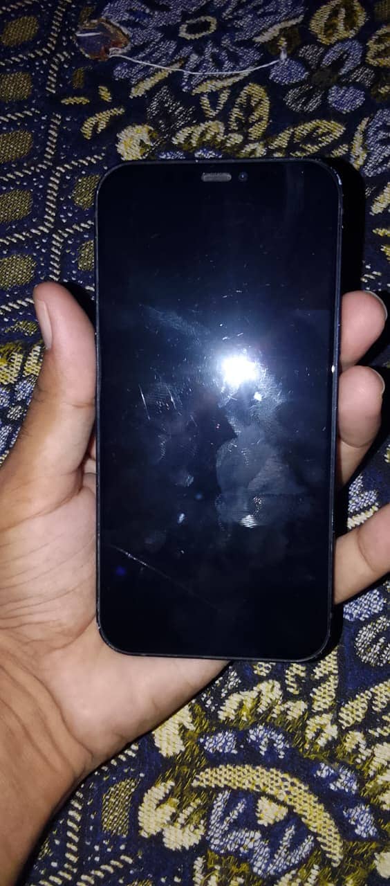 Apple iPhone 12 1