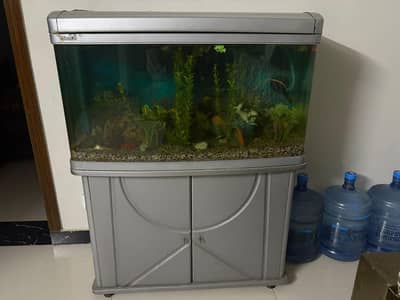 Imported Aquarium and 4 single tail fish