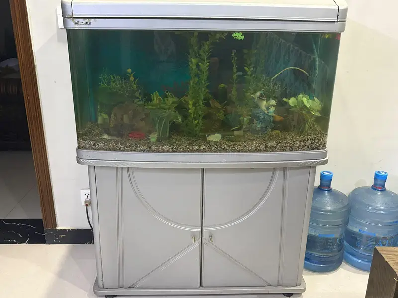 Imported Aquarium and 4 single tail fish — photo 2
