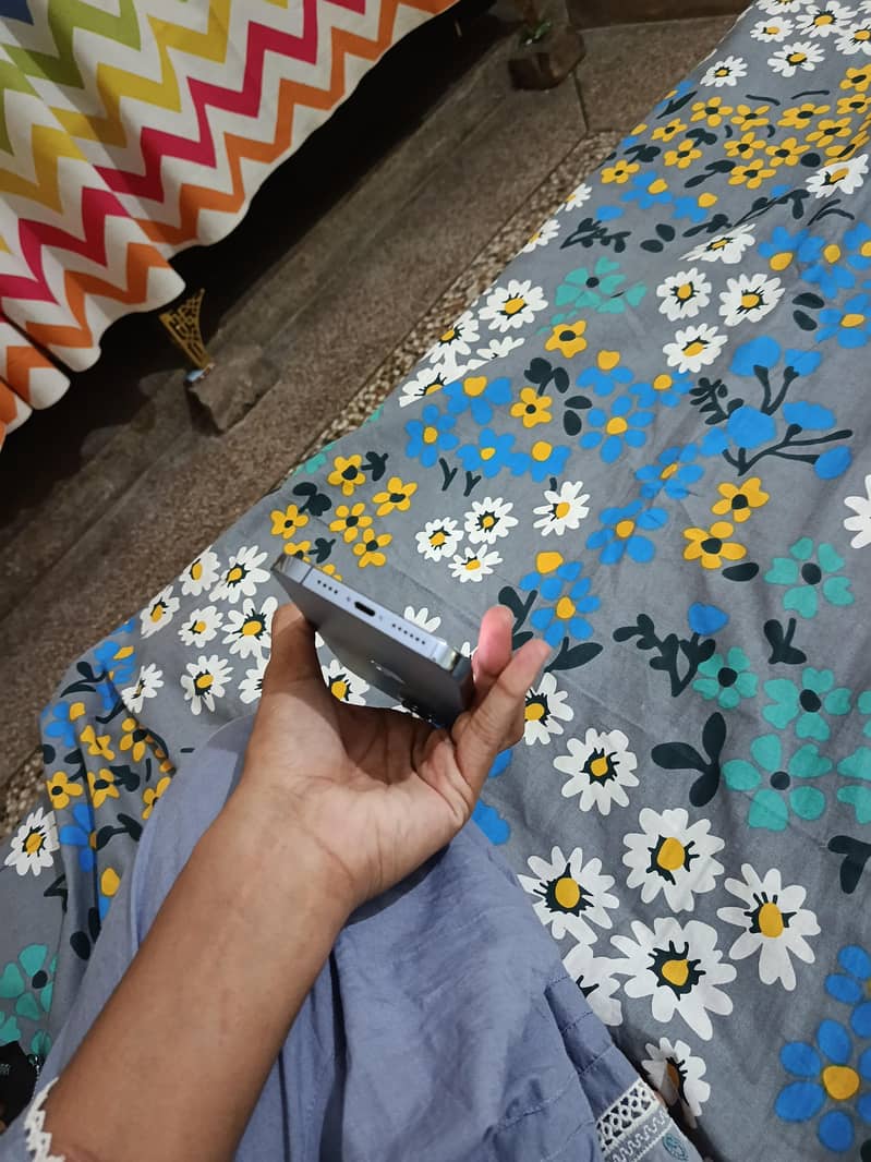 Apple iPhone 13 Pro Max 3