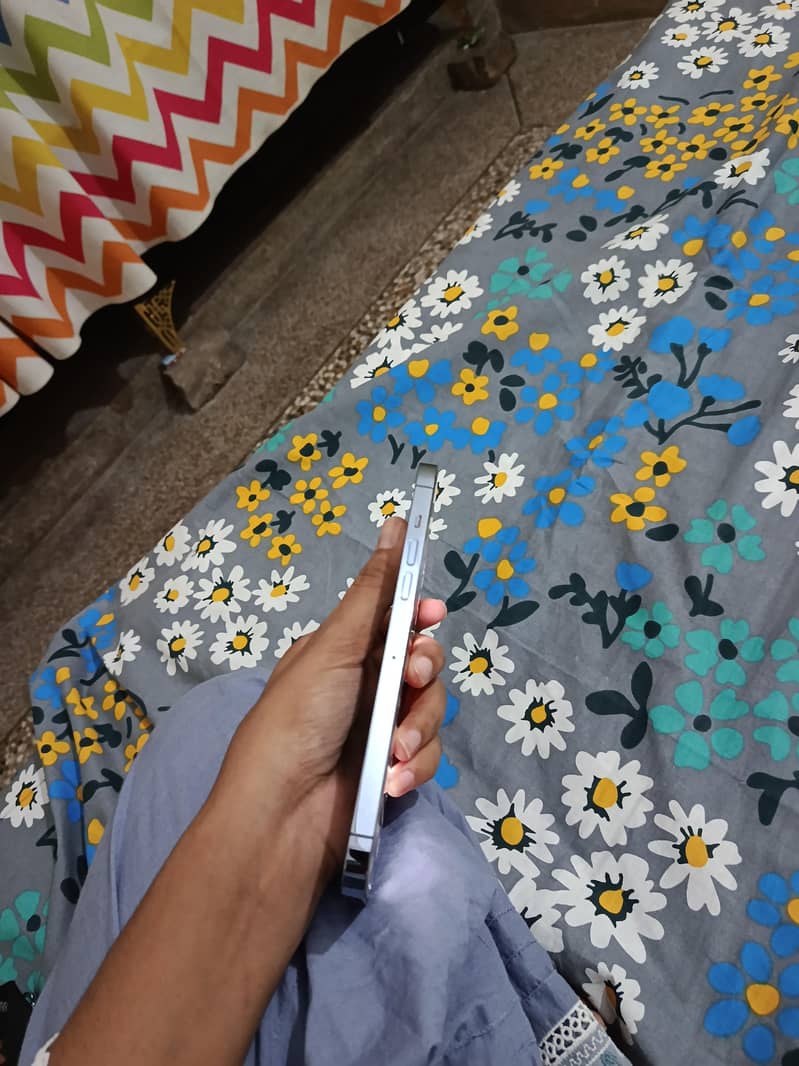 Apple iPhone 13 Pro Max 4