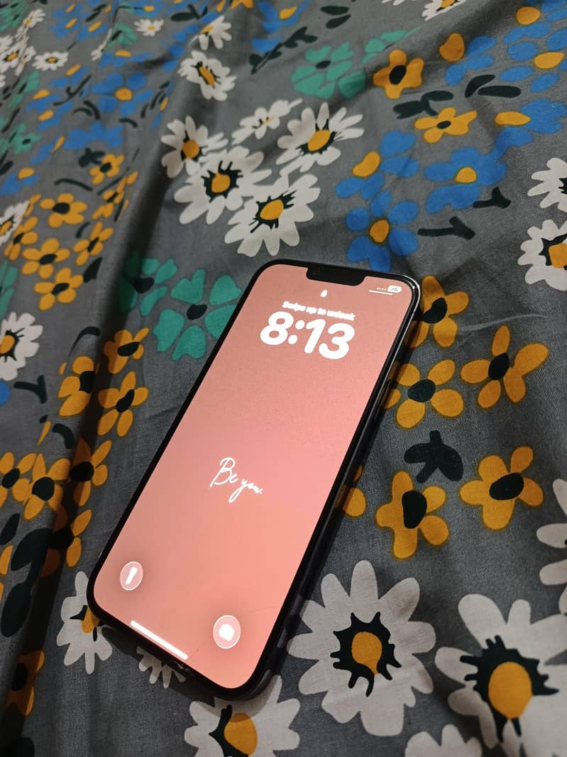 Apple iPhone 13 Pro Max 6