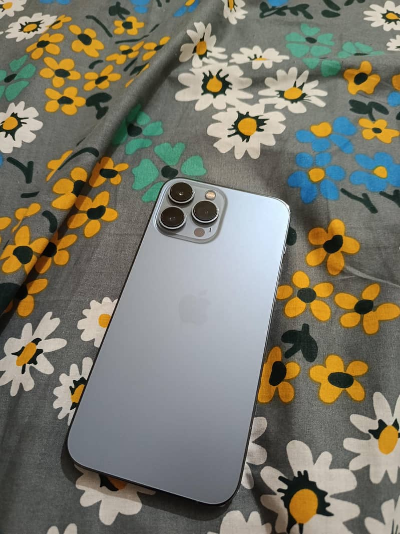 Apple iPhone 13 Pro Max 9
