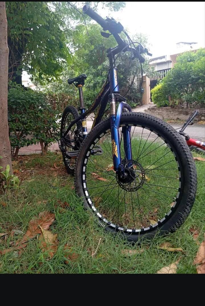 Bdf mountain  biycycle 1