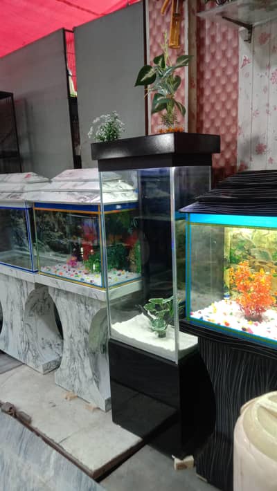 Fish Aquarium